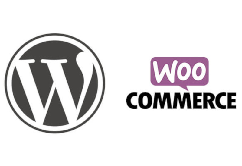 Wordpress website maintenance